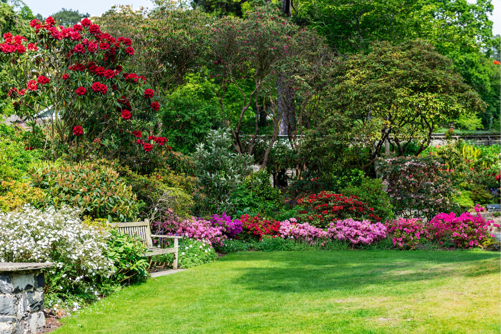10 brilliant ways to get your garden looking spectacular for summer